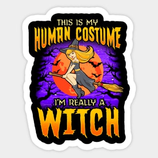 This is my human Costume Im really a Witch Funny Halloween Sticker